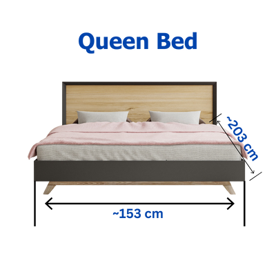 Queen Bedezy Mattress Lifter